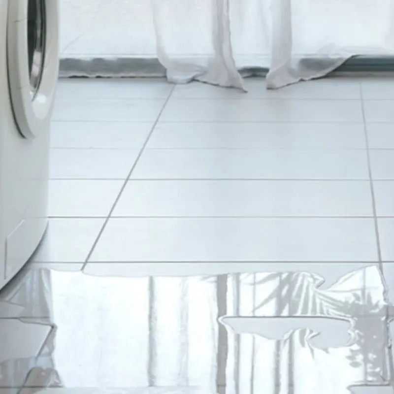 Appliance Leak Cleanup in New Matamoras, OH